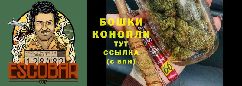 купить наркотик  Юхнов  Бошки Шишки план 